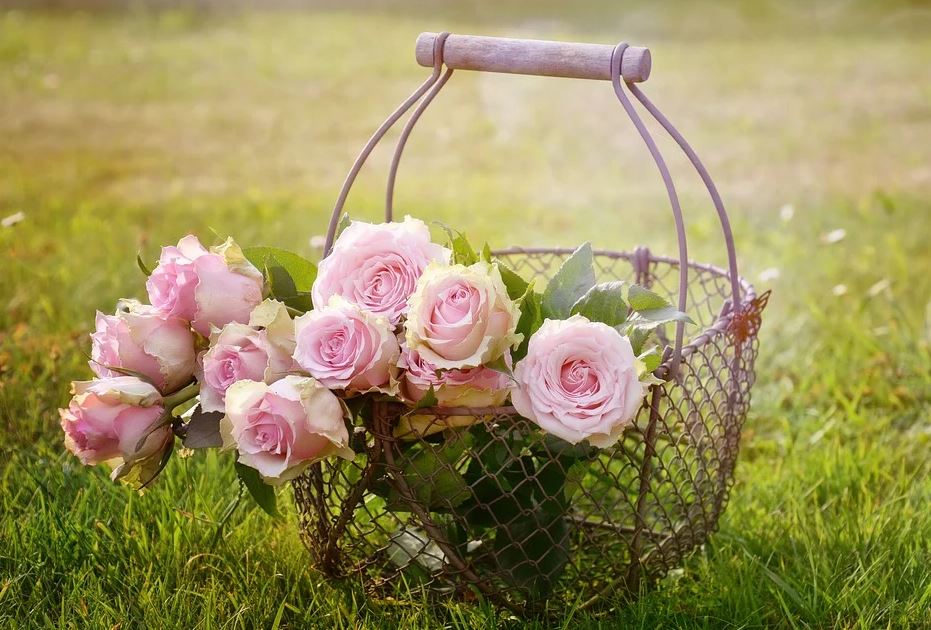 košík s růžemi