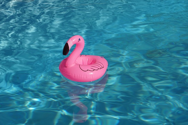 hračka na hladině bazénu